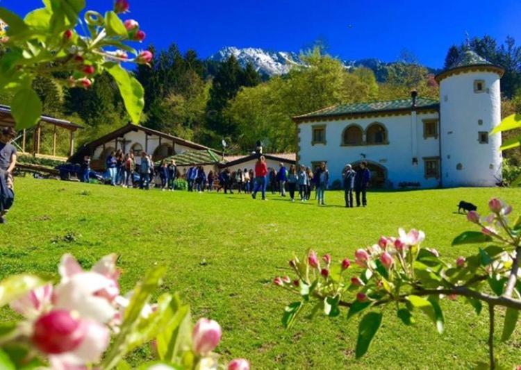 Agriturismo Randis Piano dʼArta Exterior foto